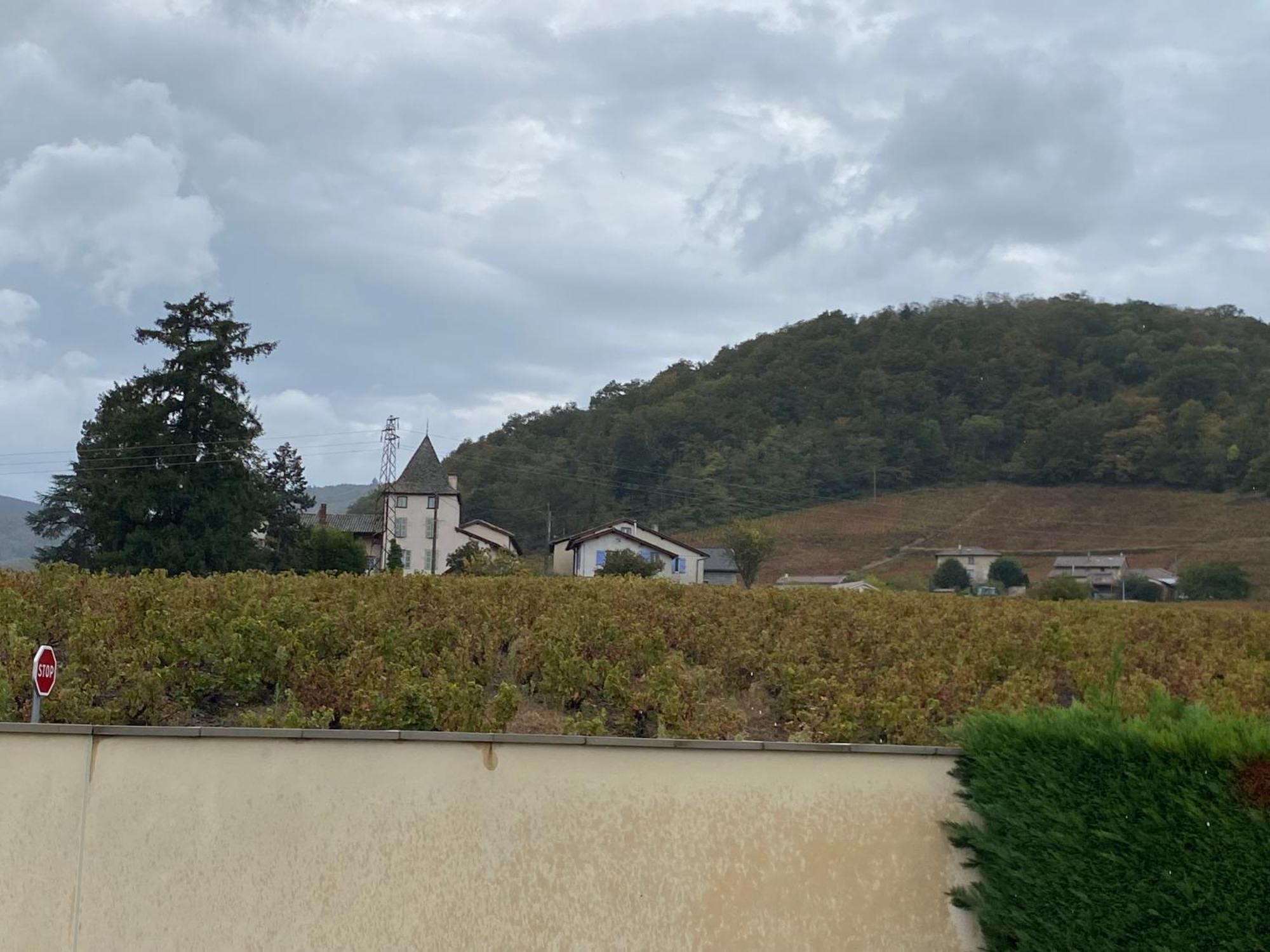 Villa Le Bouchon De Liege Beaujeu  Exterior foto